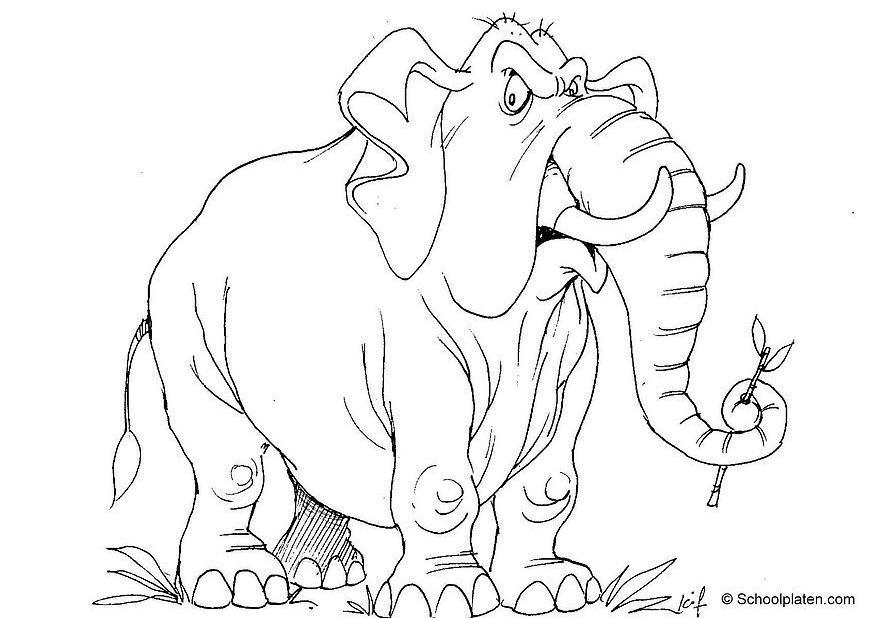 Kleurplaat olifant