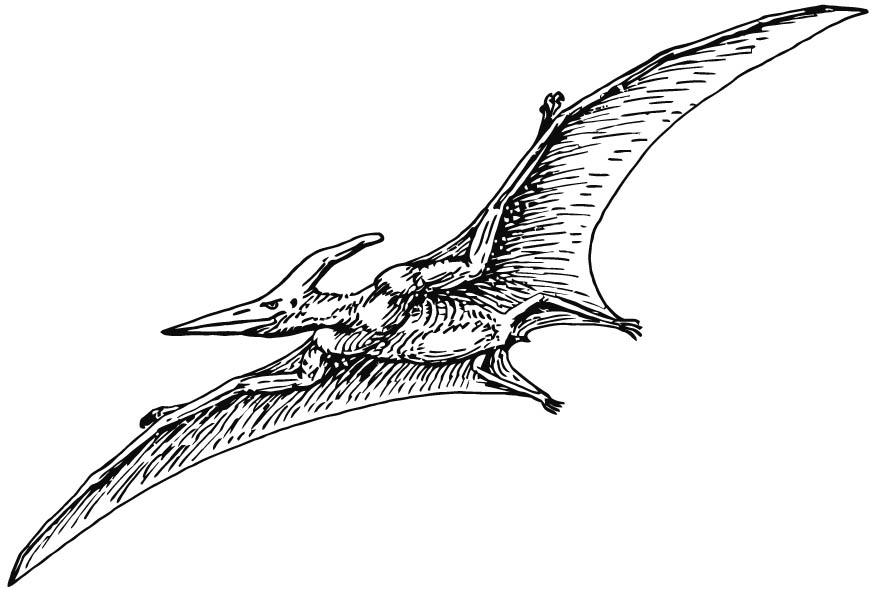 Kleurplaat pterodactyl