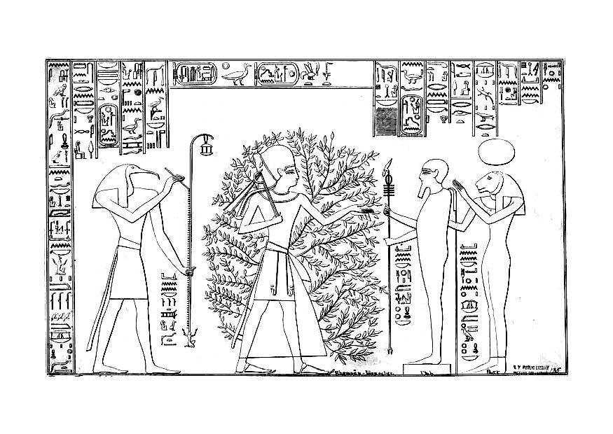 Kleurplaat ramses en de levensboom