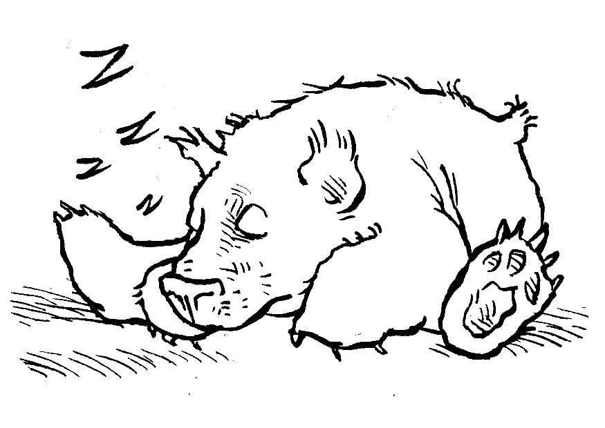 Kleurplaat teddy