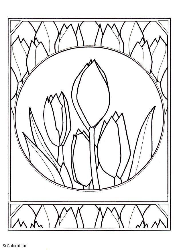Kleurplaat tulpen