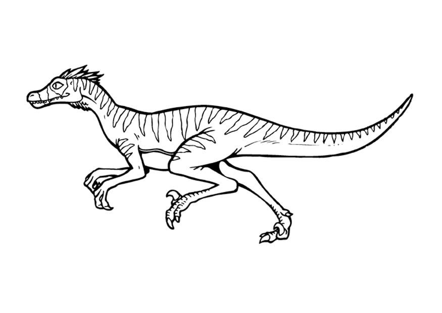 Kleurplaat velociraptor