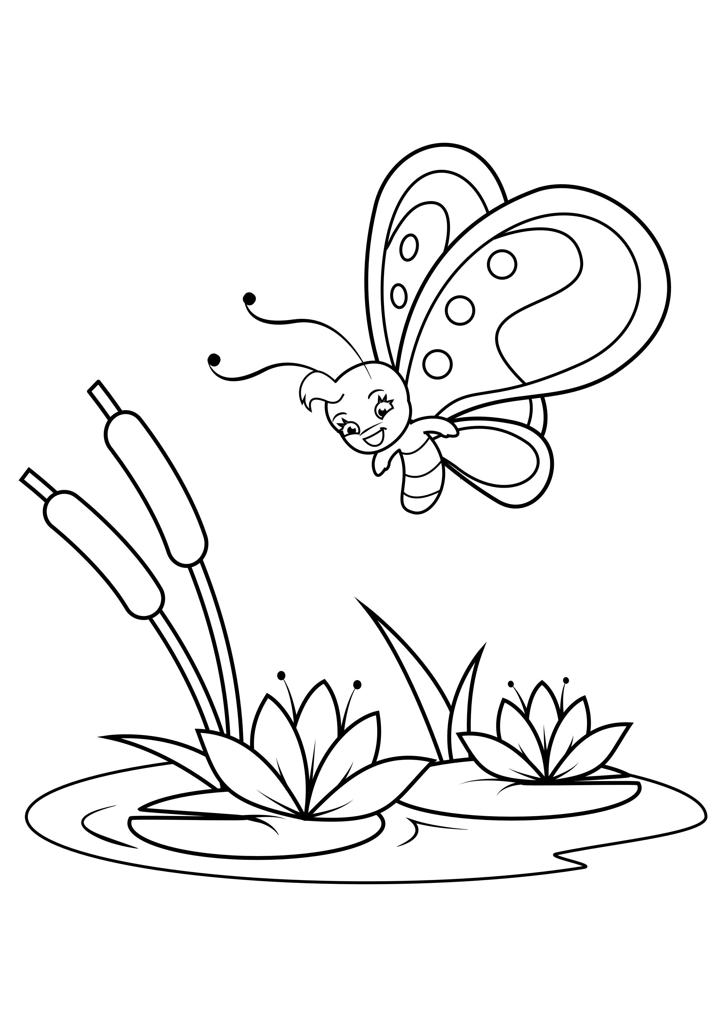 Kleurplaat vlinder boven waterlelies