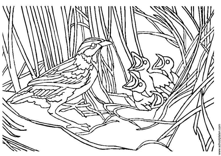 Kleurplaat vogel met nest