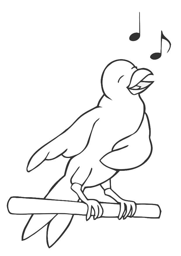Kleurplaat zingende vogel 