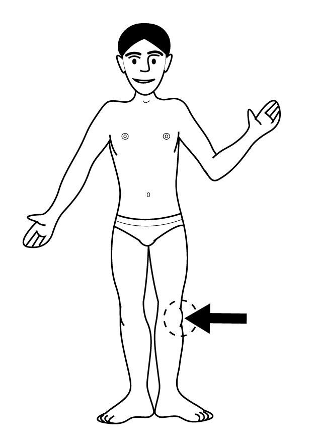 knie Kleurplaat knie