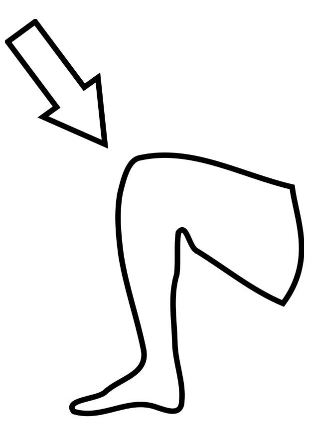 knie Kleurplaat knie