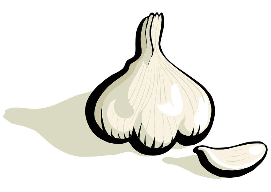 knoflook Afbeelding knoflook