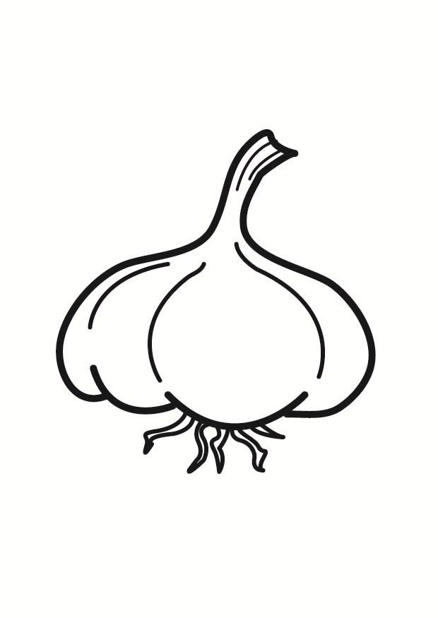 knoflook Kleurplaat knoflook