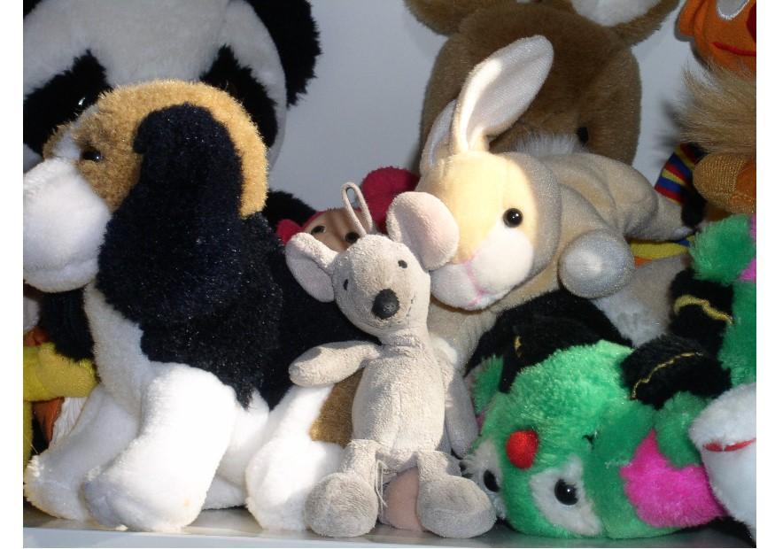 knuffels Foto knuffels
