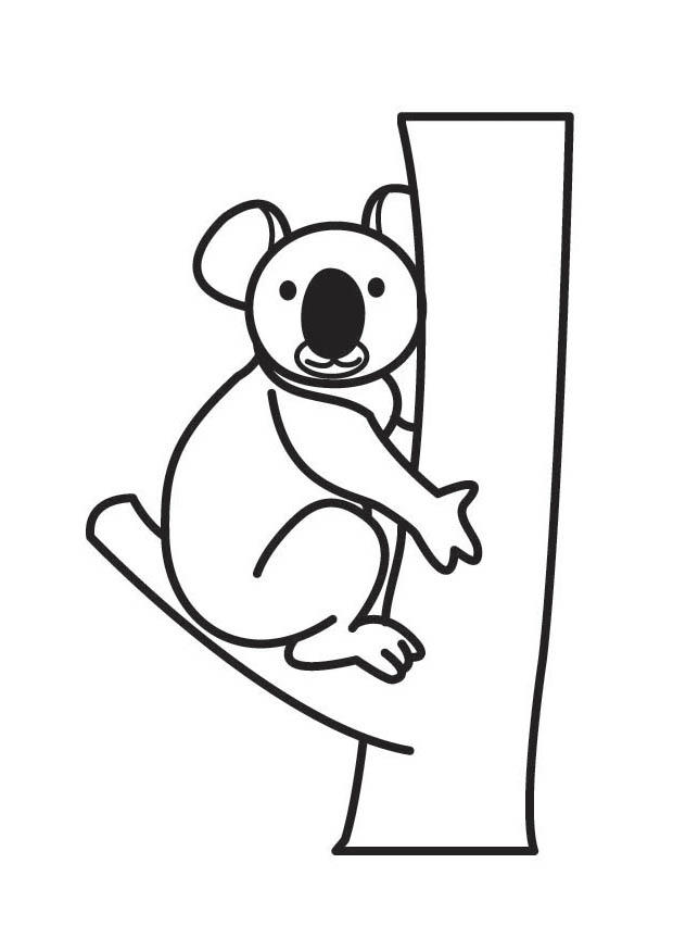 koala Kleurplaat koala