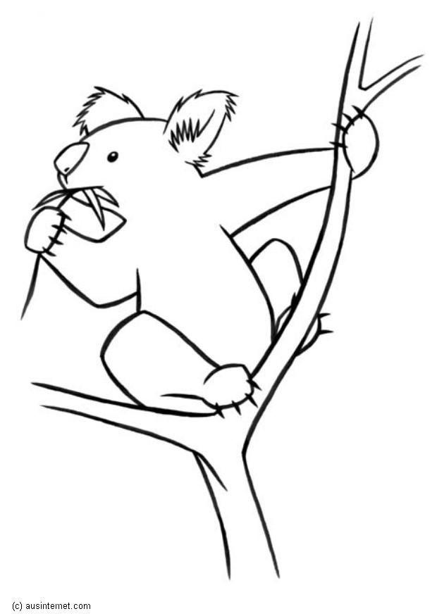 koala Kleurplaat koala