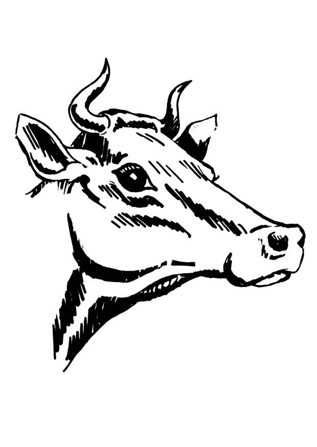 koe met hoorns Kleurplaat koe met hoorns