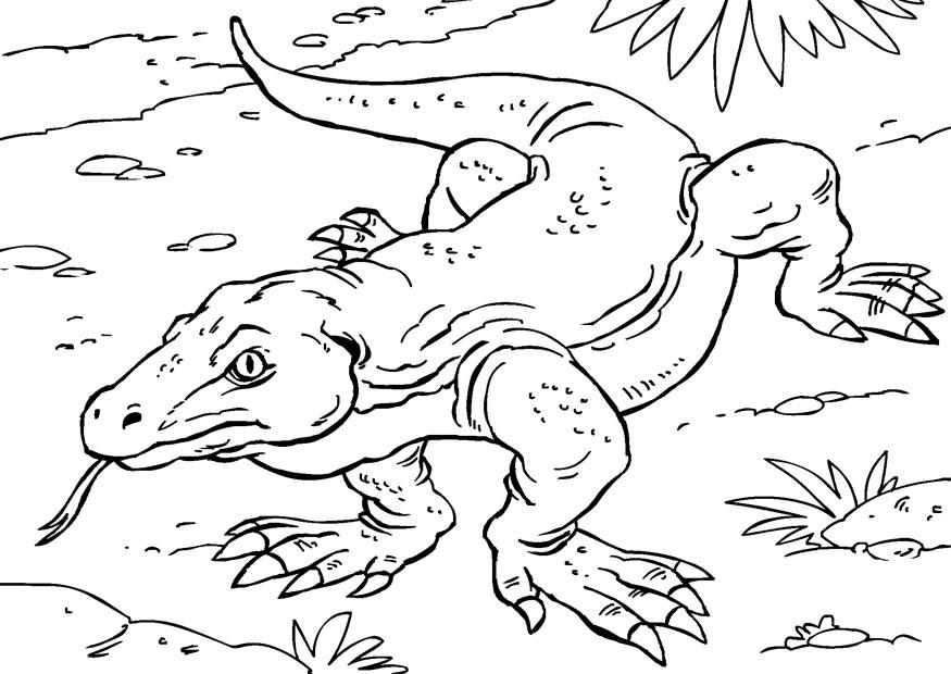 komodovaraan Kleurplaat komodovaraan