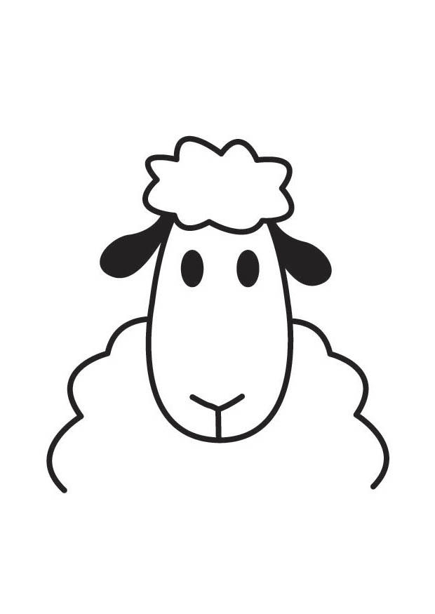 kop schaap Kleurplaat kop schaap
