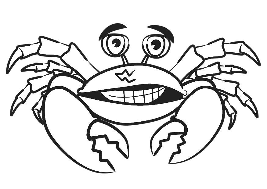 krab Kleurplaat krab