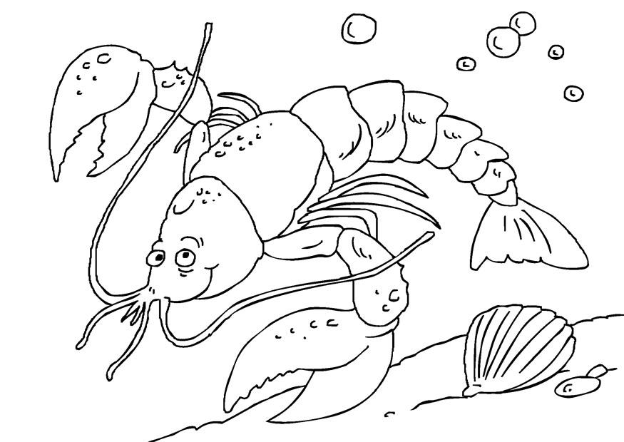 kreeft Kleurplaat kreeft