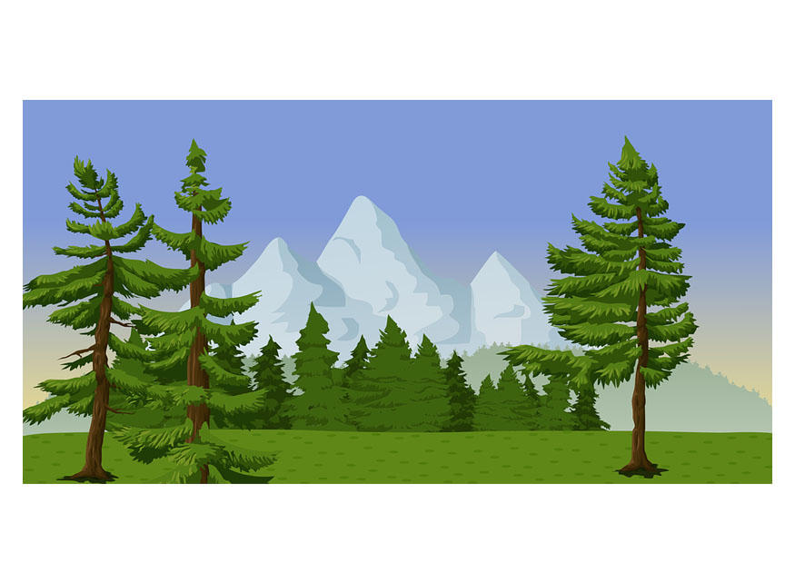 landschap Afbeelding landschap