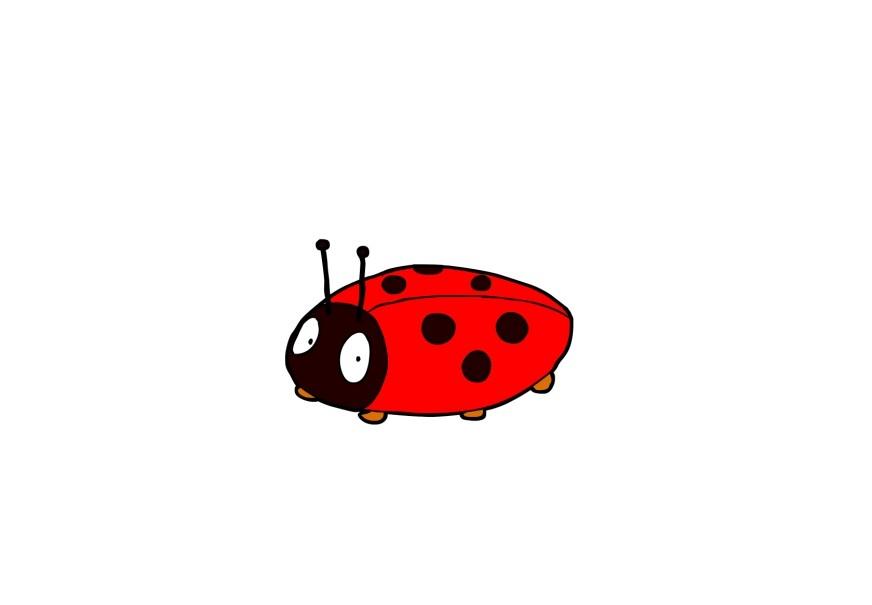 lieveheersbeestje Afbeelding lieveheersbeestje