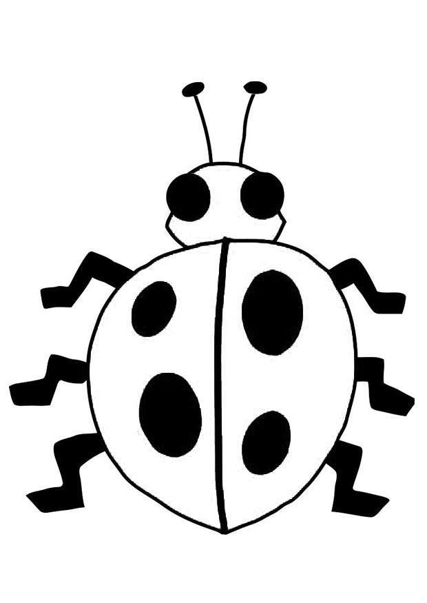 lieveheersbeestje Kleurplaat lieveheersbeestje