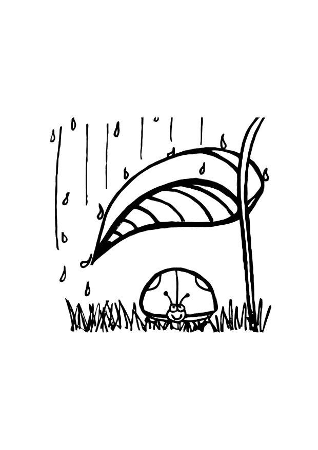 lieveheersbeestje shuilt voor de regen Kleurplaat lieveheersbeestje shuilt voor de regen