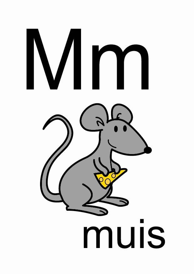 m Afbeelding m