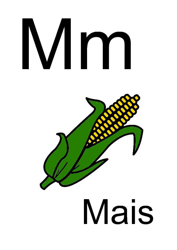 m Afbeelding m