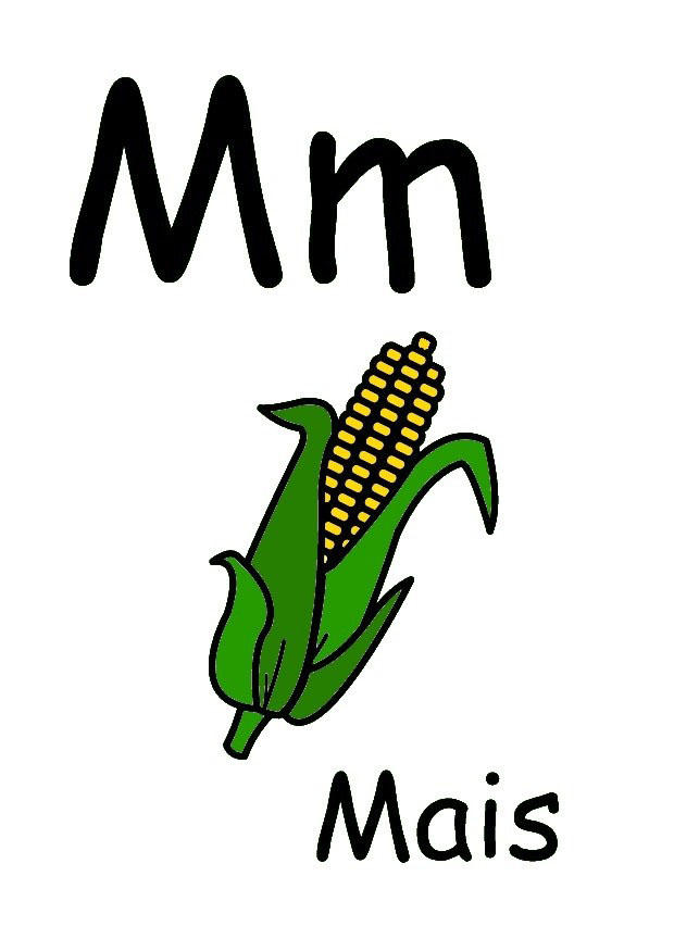 m Afbeelding m