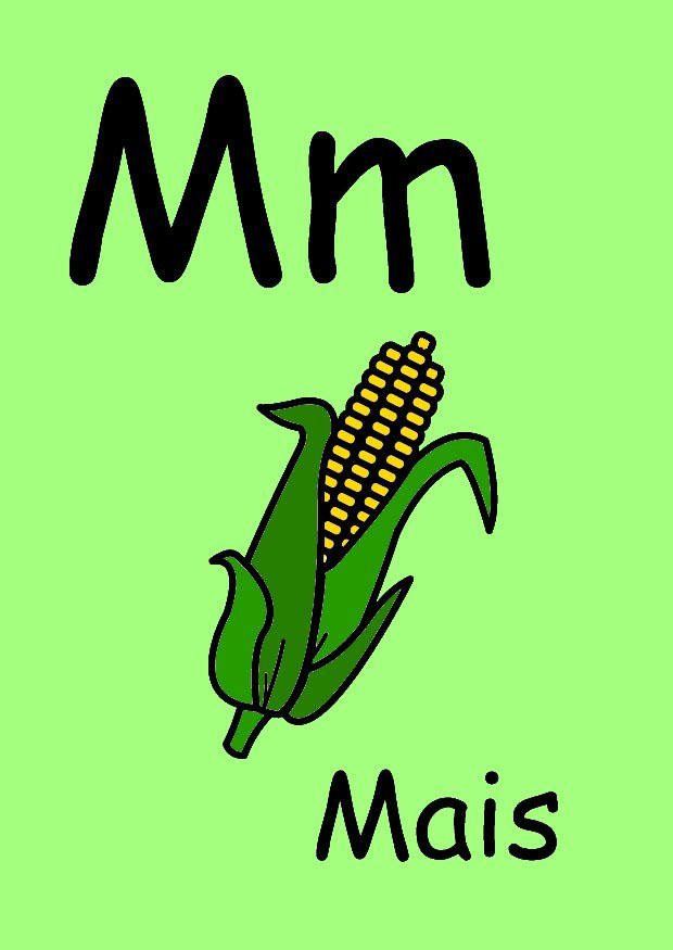 m Afbeelding m