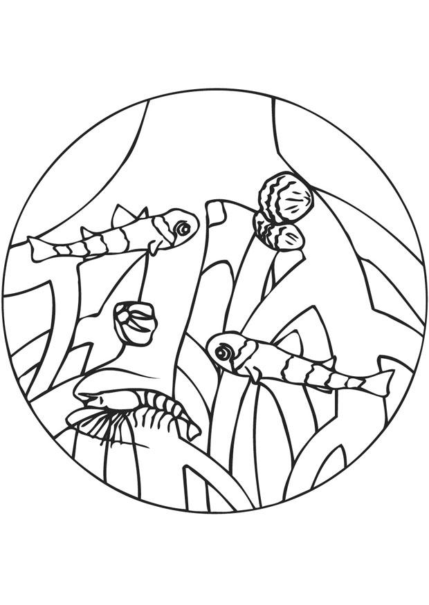 mangrove wortels Kleurplaat mangrove wortels