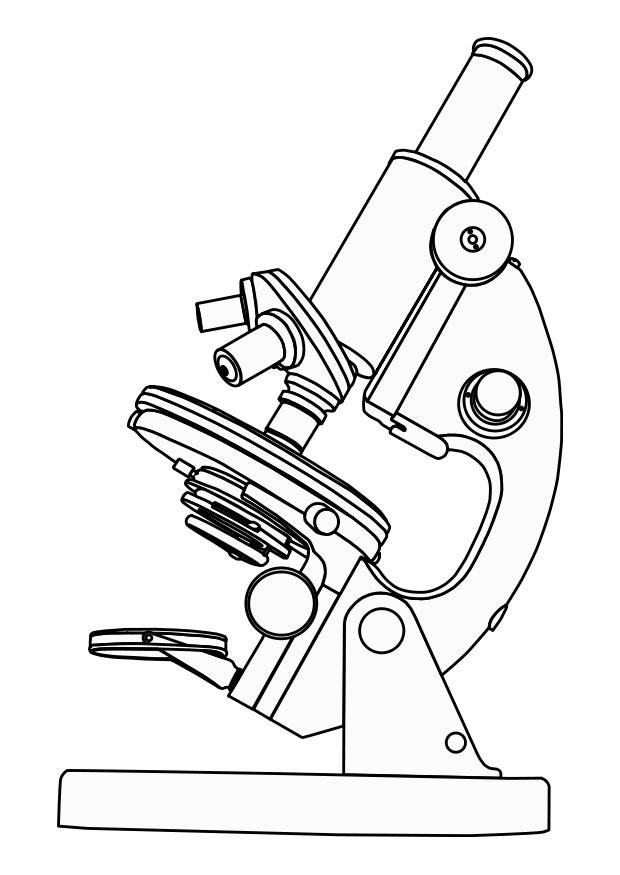 microscoop Kleurplaat microscoop