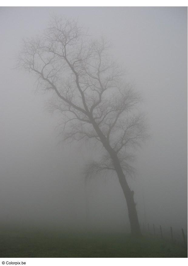 mist Foto mist