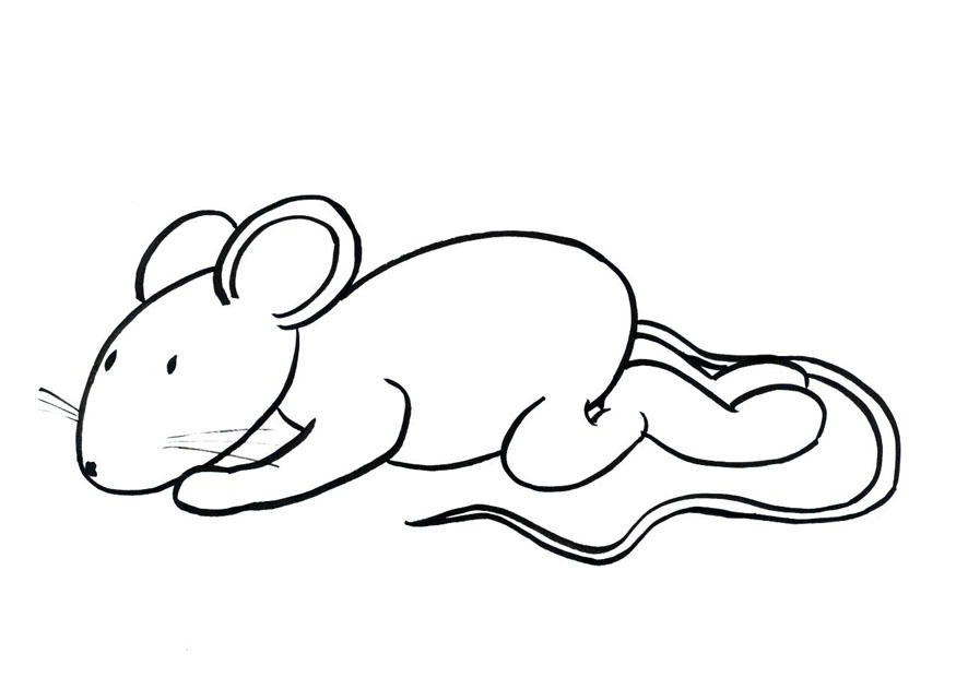 transi, de muis Kleurplaat transi, de muis