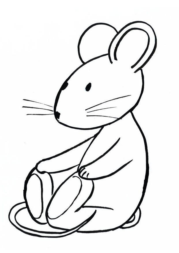 transi, de muis Kleurplaat transi, de muis