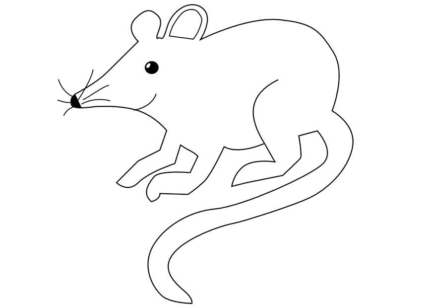 muis Kleurplaat muis
