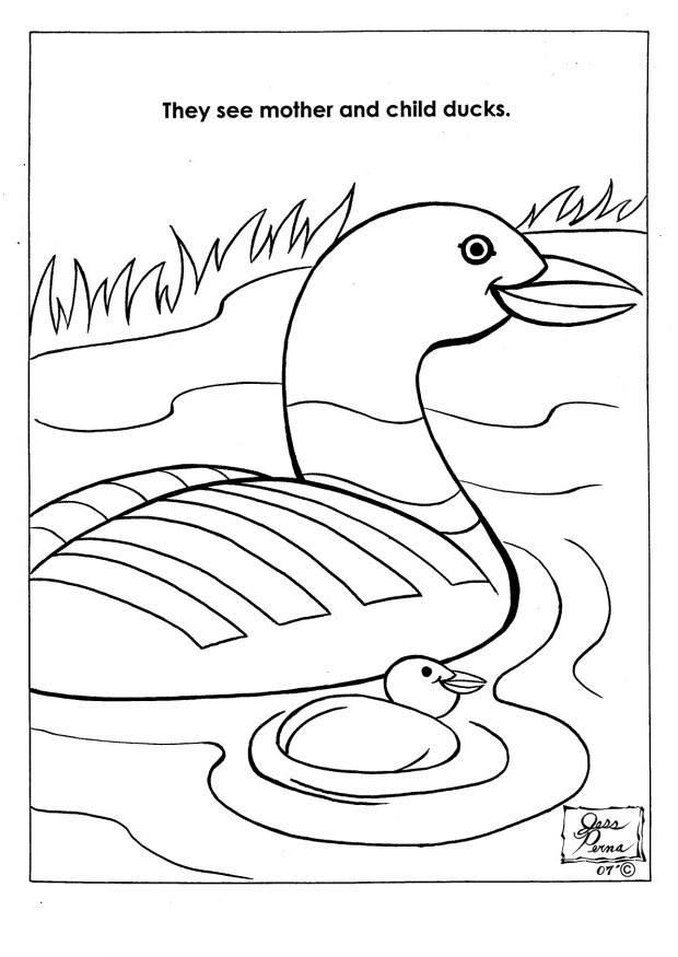 natuurpark eenden Kleurplaat natuurpark eenden