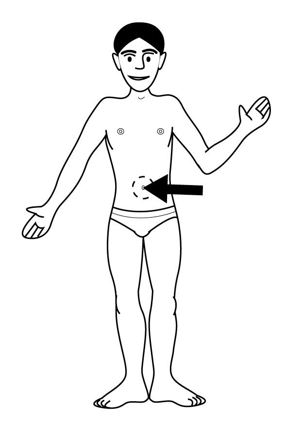 navel Kleurplaat navel