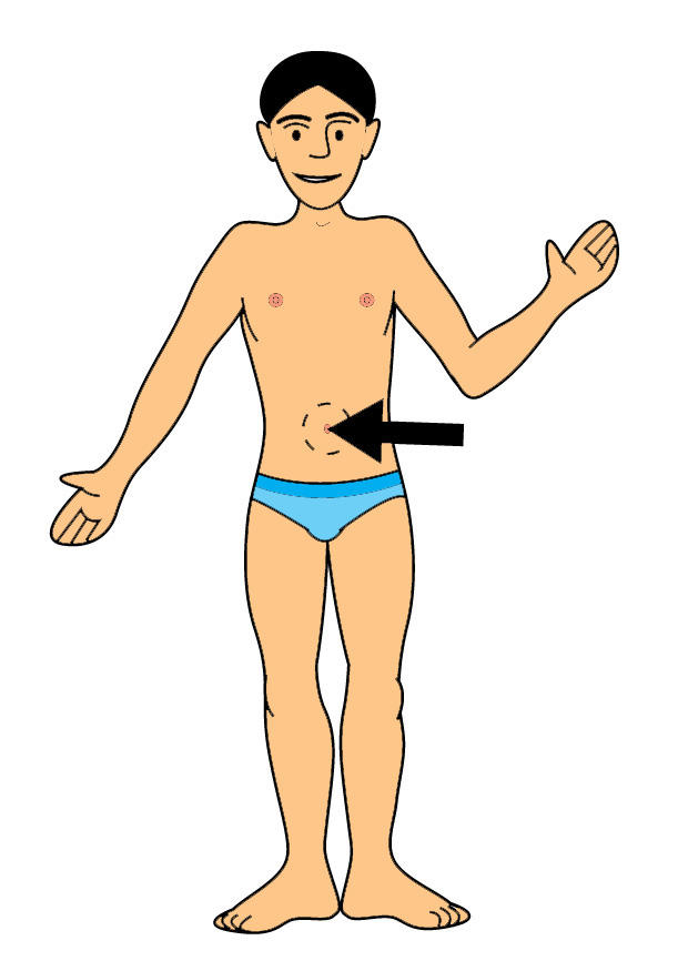 navel Afbeelding navel