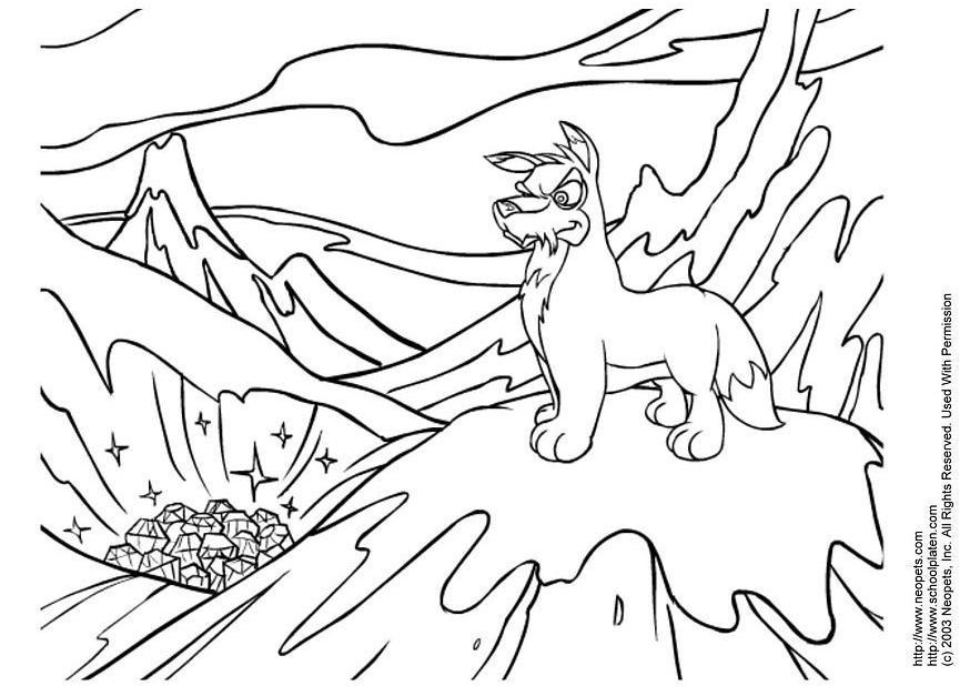 neopets Kleurplaat neopets