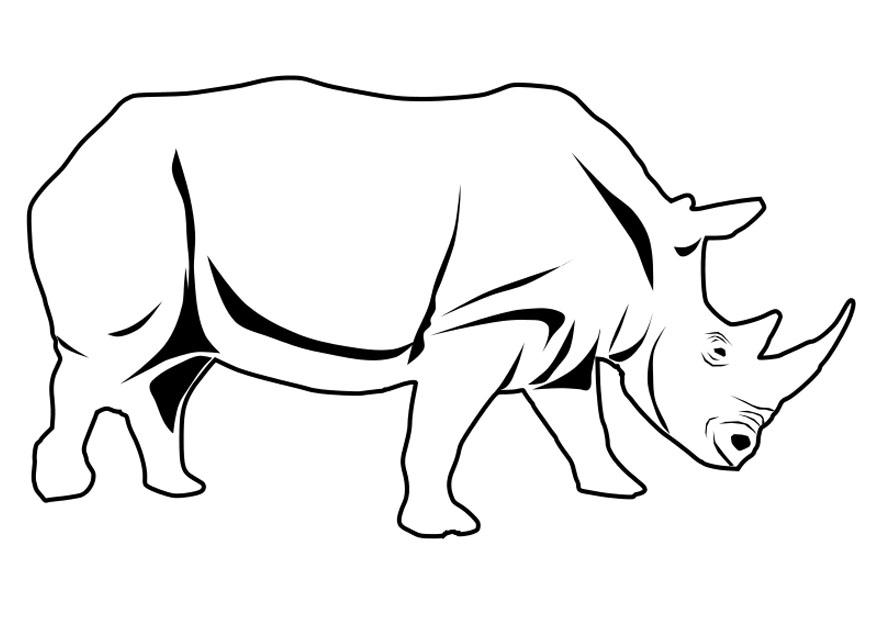 neushoorn Kleurplaat neushoorn