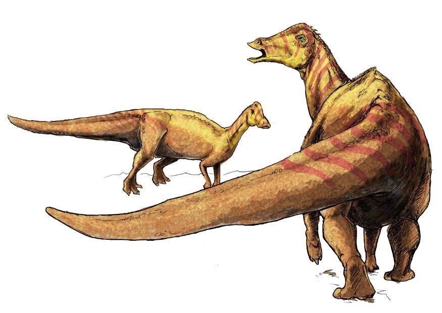 nipponosaurus Afbeelding nipponosaurus
