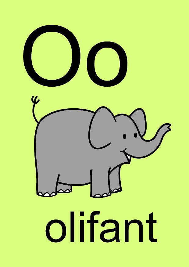 o Afbeelding o