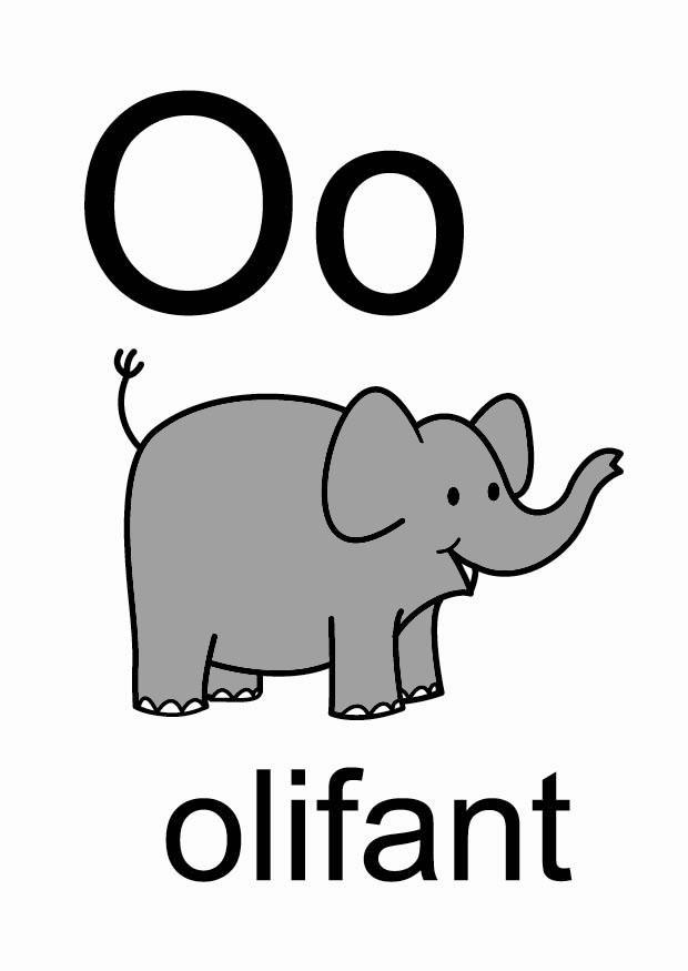 o Afbeelding o