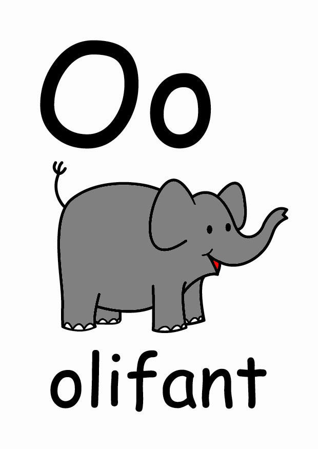 o Afbeelding o