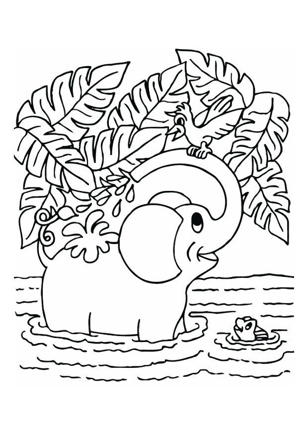 olifant Kleurplaat olifant