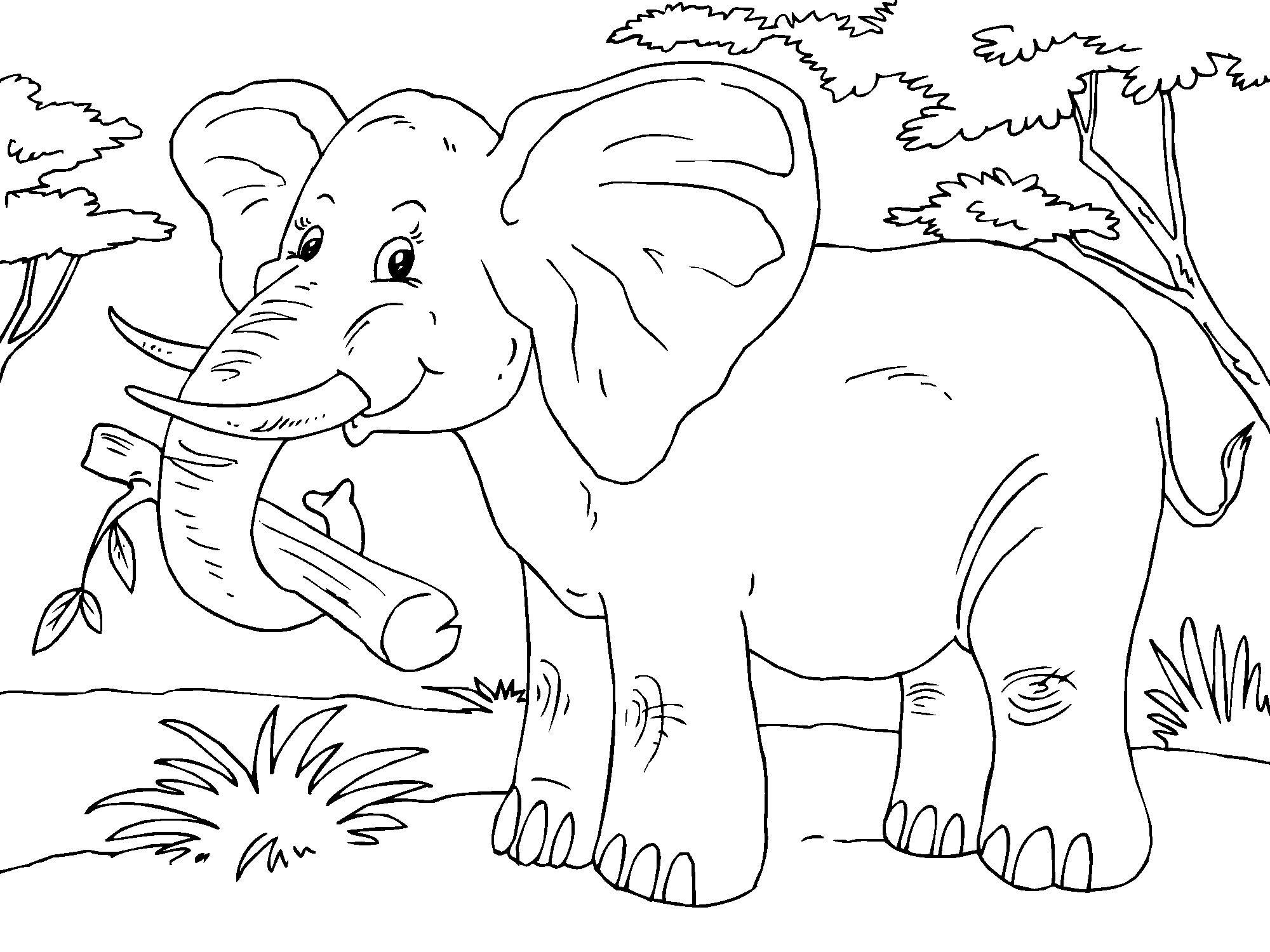 olifant Kleurplaat olifant