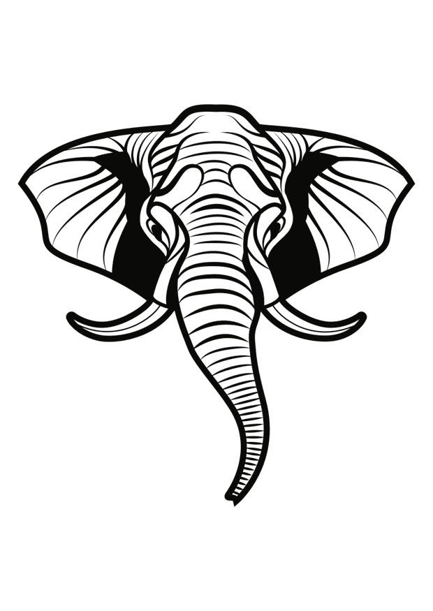 olifant Kleurplaat olifant