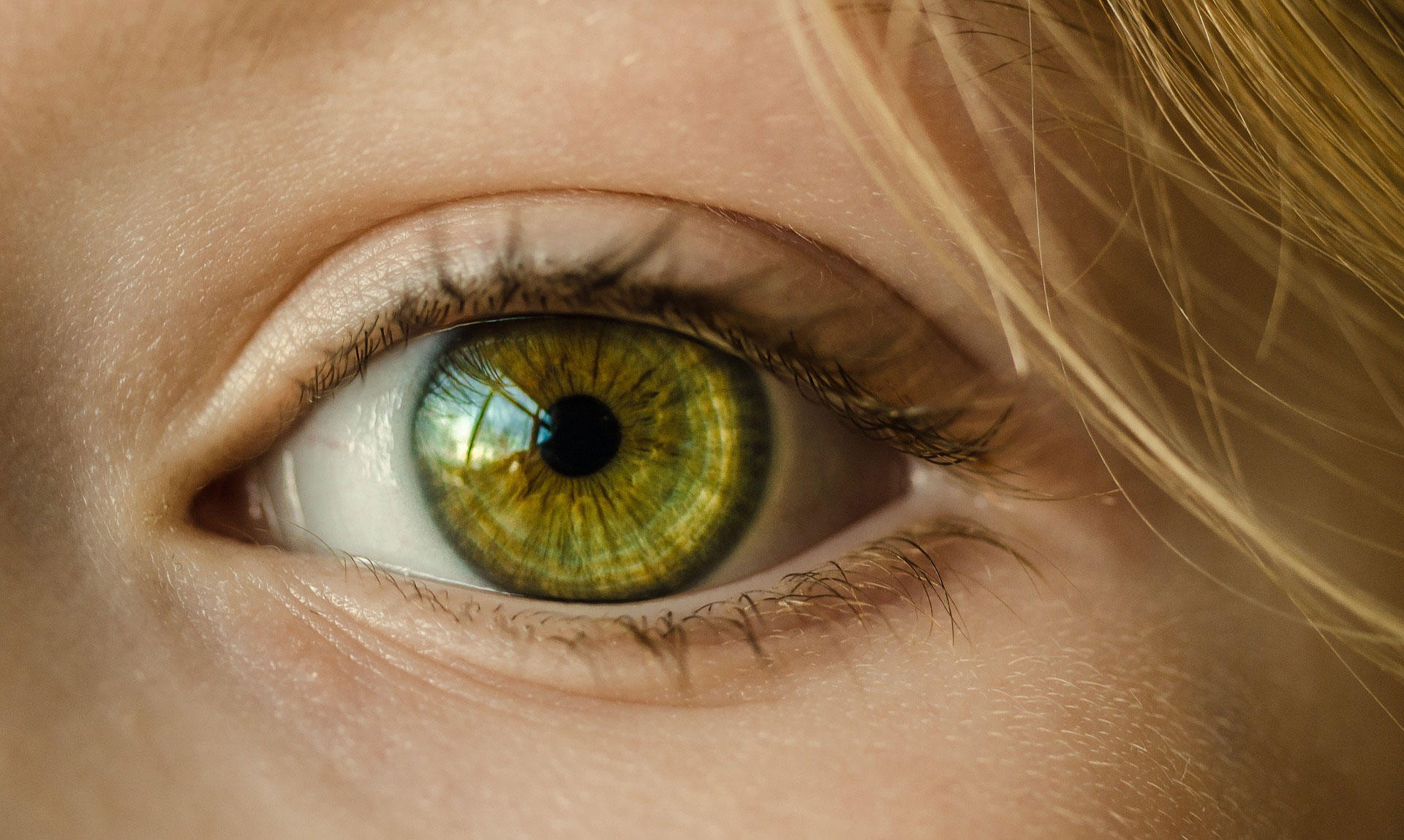 oog Foto oog