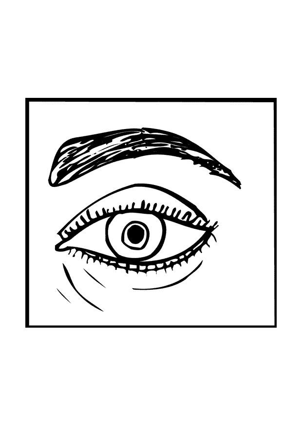 oog Kleurplaat oog