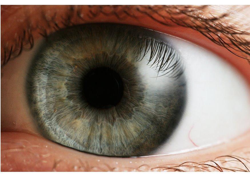 oog - iris Foto oog - iris